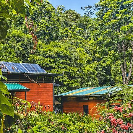 Апарт готель Selva Madre Eco-Sanctuary Кахуіта Екстер'єр фото